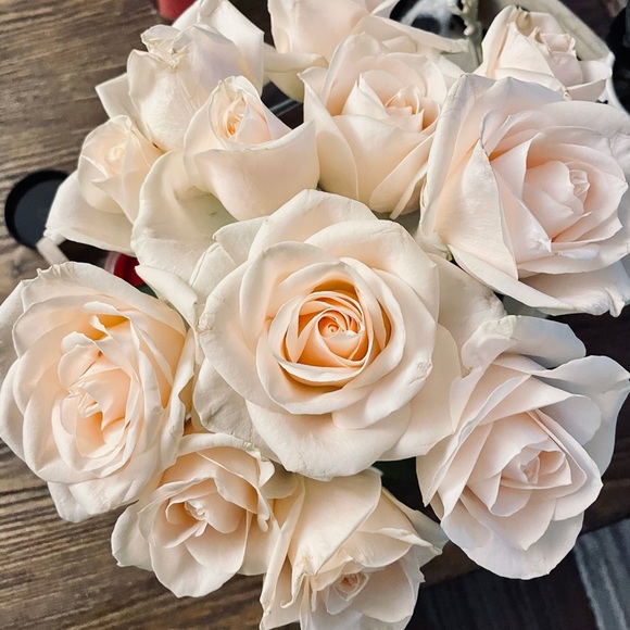 Meet your Posher, Jeanette - Picture 1 of 1